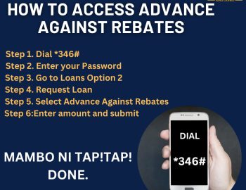 How to access 2024 advance against Rebates